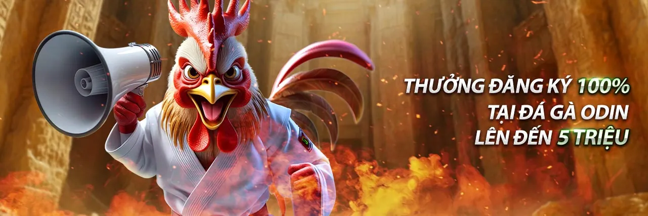 Hình ảnh minh họa Tuân thủ GDPR tại 74 good88, bảo vệ dữ liệu cá nhân